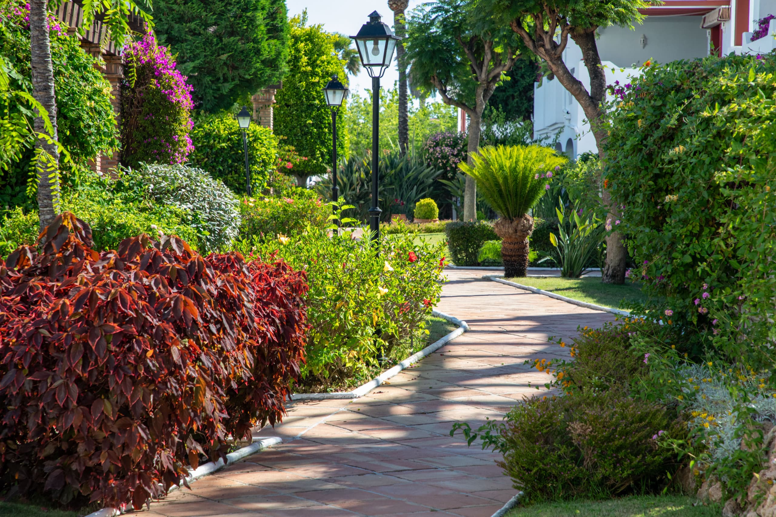 Charming Beachside 3 bedroom apartment in San Pedro - Image 2